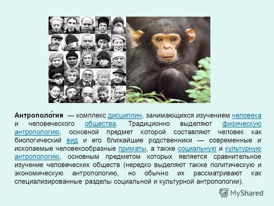 антропологическая дисциплина. основные разделы антропологии. место юриспруденции в системе гуманитарных наук. лингвистическая антропология. антропология комплекс дисциплин.