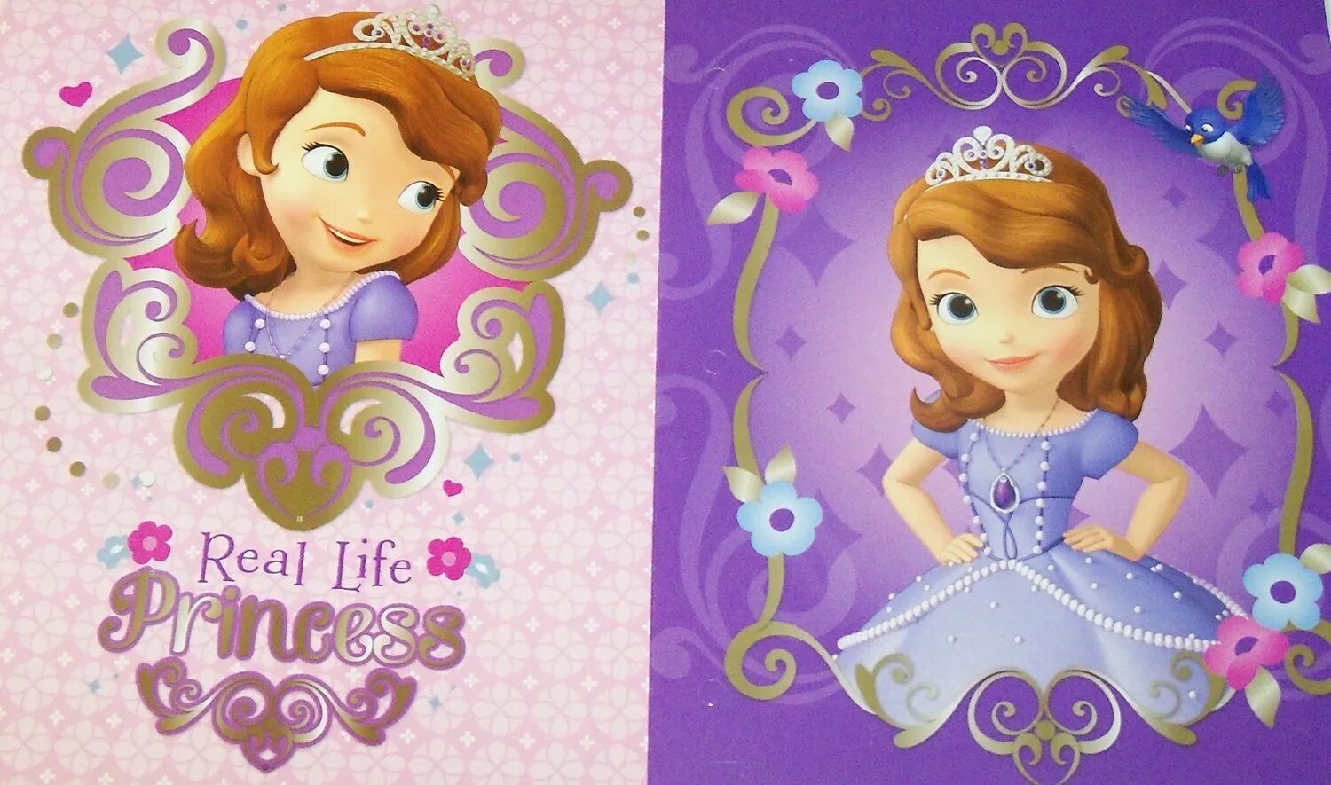 Любимый жизнь принцесс. Скетчбук Sofia the first.