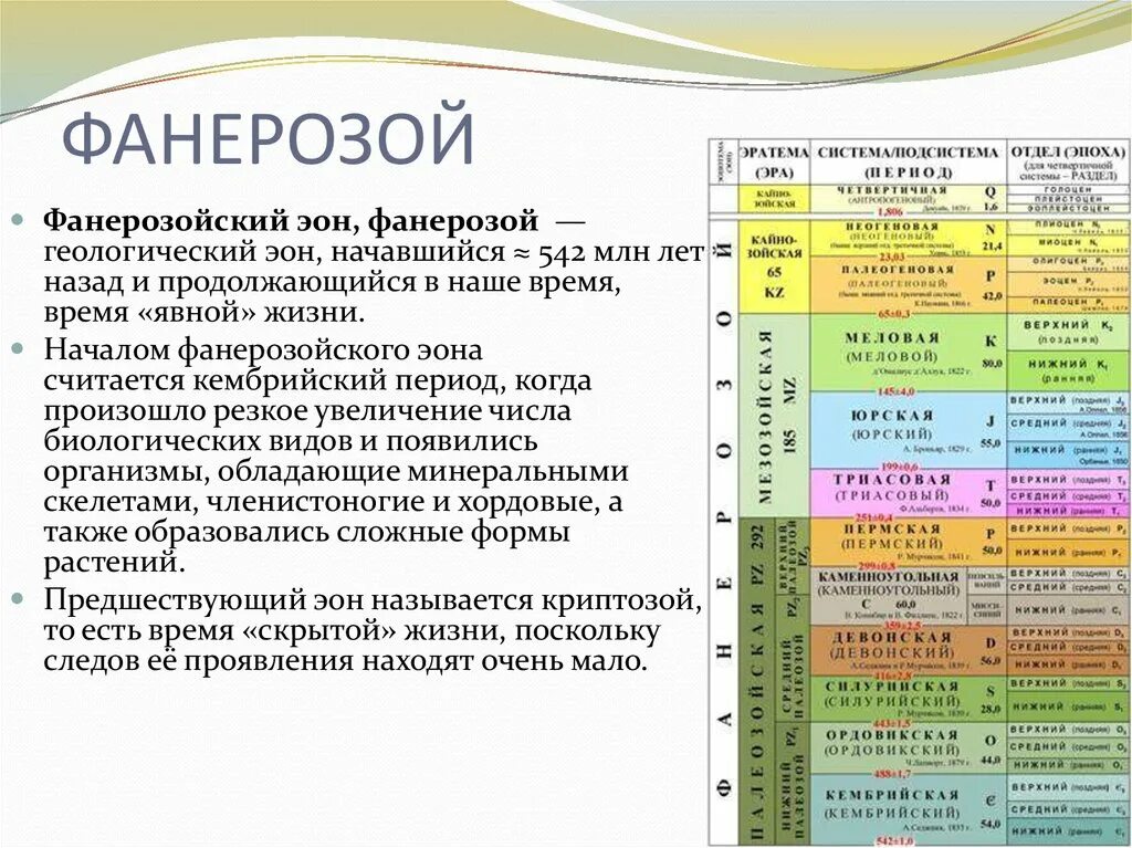 Геохронологическая Кайнозой. Фанерозойская Эра таблица. Эры фанерозоя. Фанерозой Палеозойская Эра эпоха.