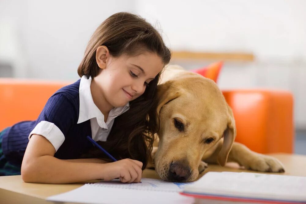 Pet student. Собака для детей. Животные школьники. Домашние животные и человек. Общение с домашними животными.