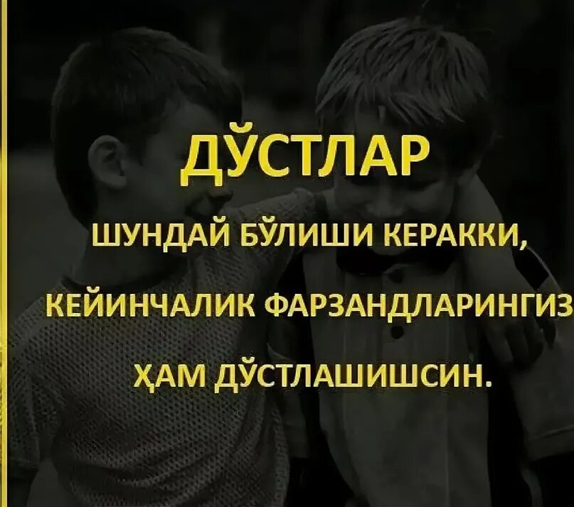 Хай хакида. Чин дуст хакида шерлар. Дустлик хакида. Дуст хакида картинка. Дуст хакида Шер.