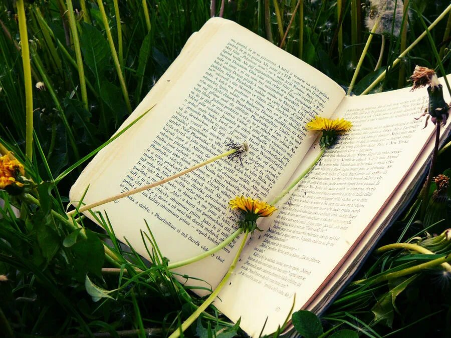 Подборка книг для лета. Короткие книги на лето. лето из книг. картинки из любых книг. книга лето со стеклом.