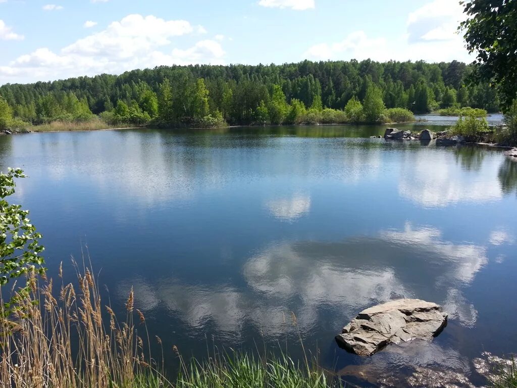 Озеро Каменка Ленинградская область. Каменка Новосибирская озеро Новосибирск. Озеро Каменка верхняя Пышма. Озеро в Каменках Нижегородская. Водные богатства ленинградской области