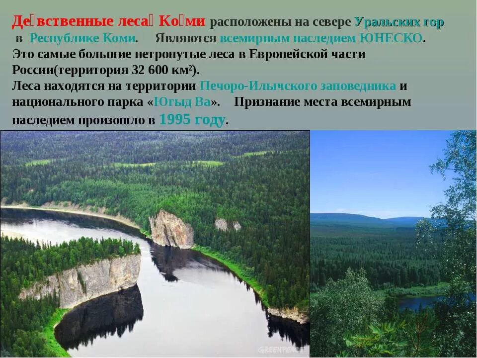 Леса Коми наследие ЮНЕСКО. Девственные леса Коми» (Коми). Всемирное природное наследие девственные леса Коми. Девственные леса Коми на севере уральских гор.. Объекты всемирного природного наследия юнеско сообщение