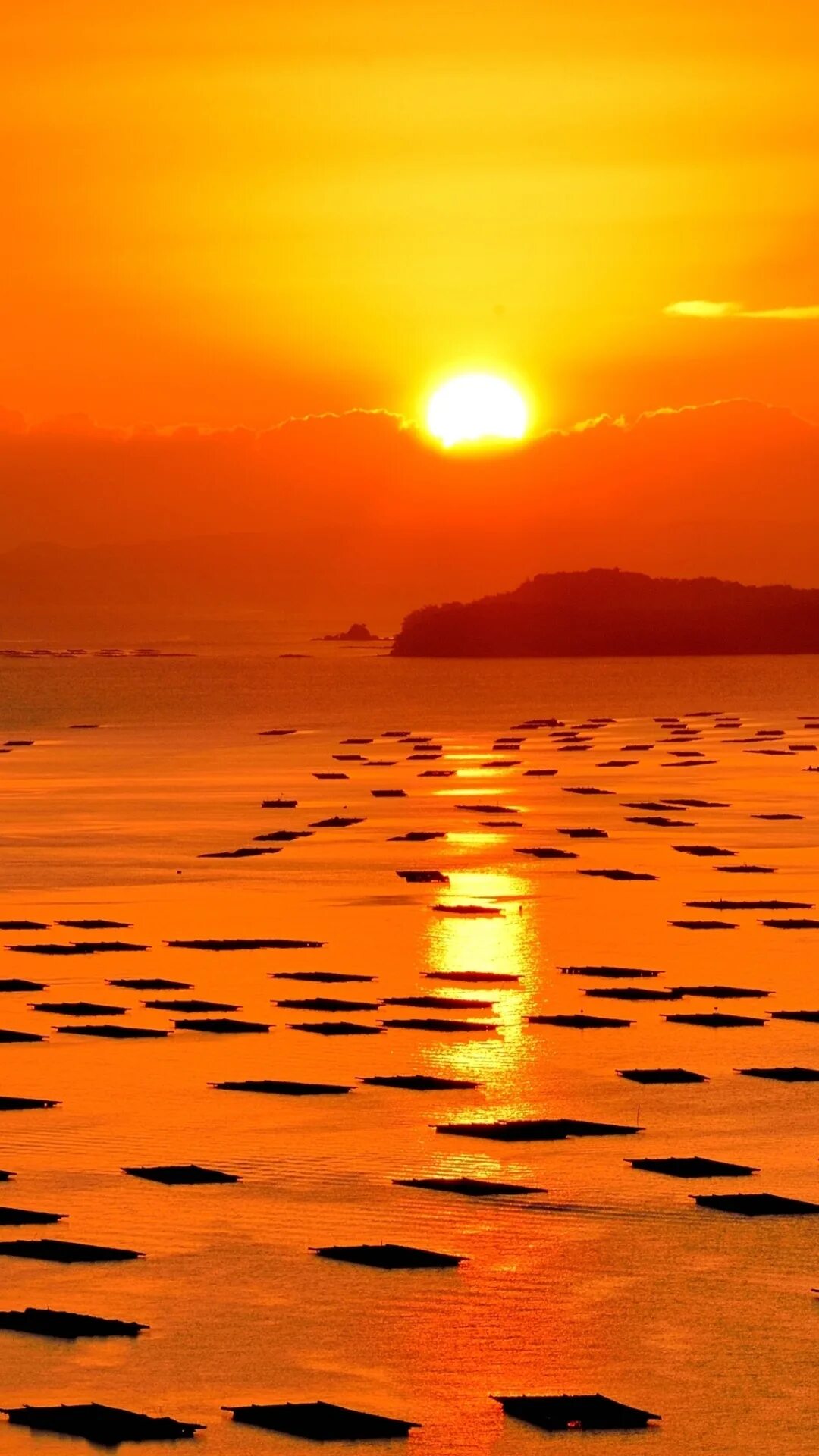 Нежный закат. Это была оранжевый закат. Orange sunset andy panda. Это была оранжевый закат. Апельсиновый закат.