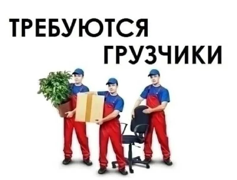 новосибирск подработка грузчиком с ежедневной