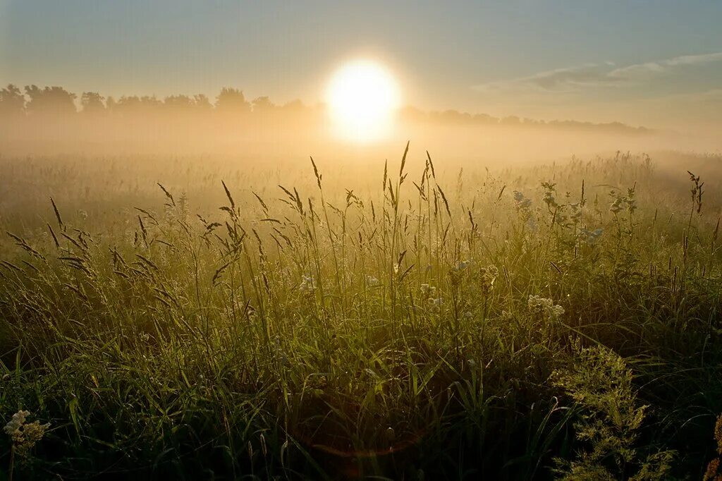 Утреннее солнце. Рассвет. Ранний рассвет. Ранний летний рассвет.