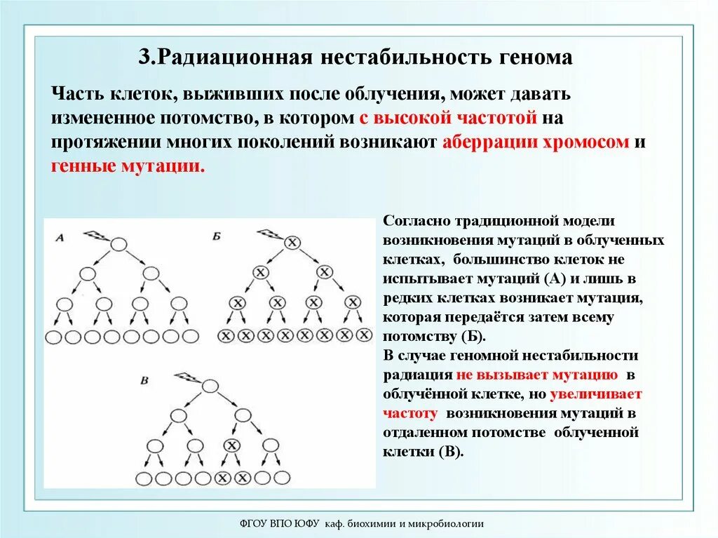 Биохимия и микробиология. Радиационно-индуцированная нестабильность генома. Геномная нестабильность. Микробиология и биохимия. Нестабильность ДНК.