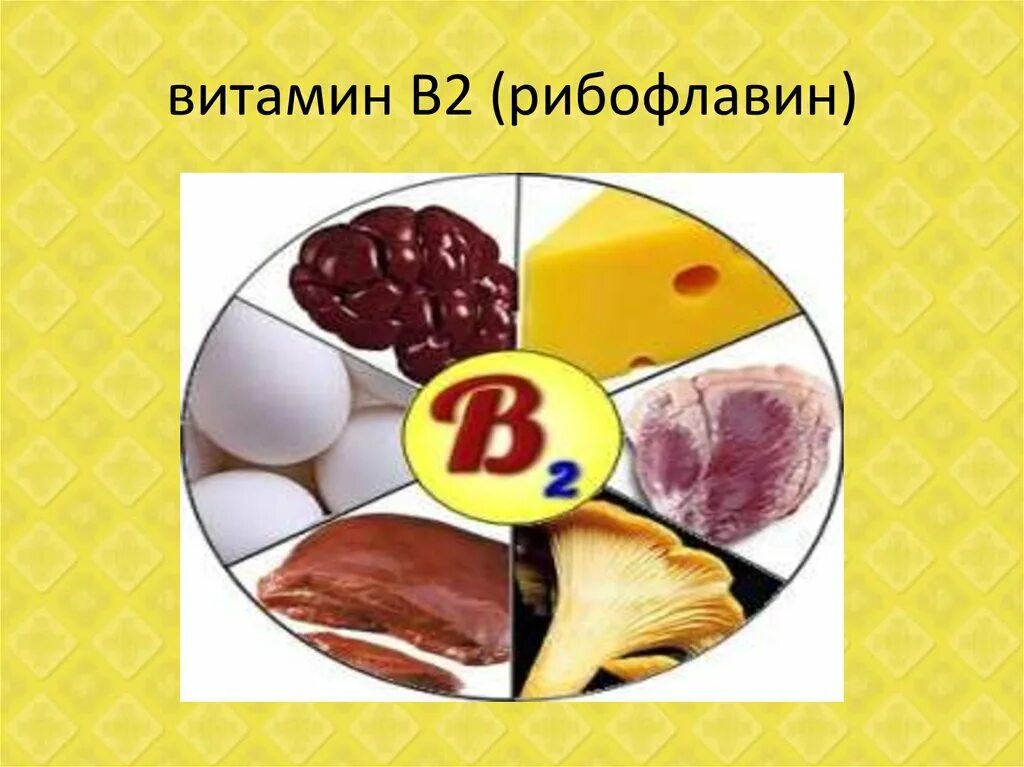 Значение витамина в2
