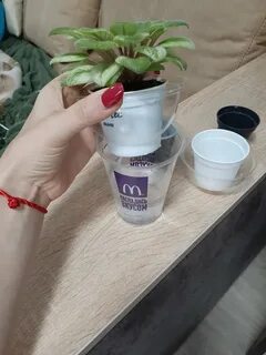 Фитильный полив