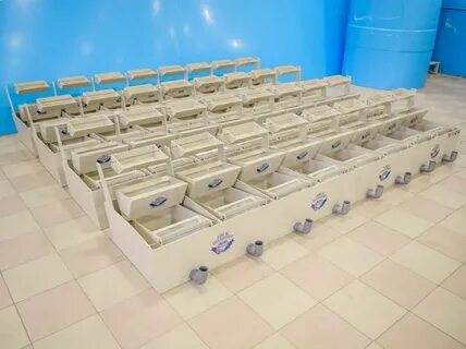Кассы ейск