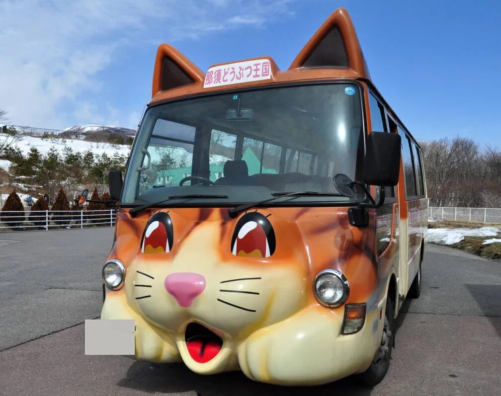 Включи абобуса. Необычные автобусы. Необычный школьный автобус. Забавные школьные автобусы. Японские автобусы.