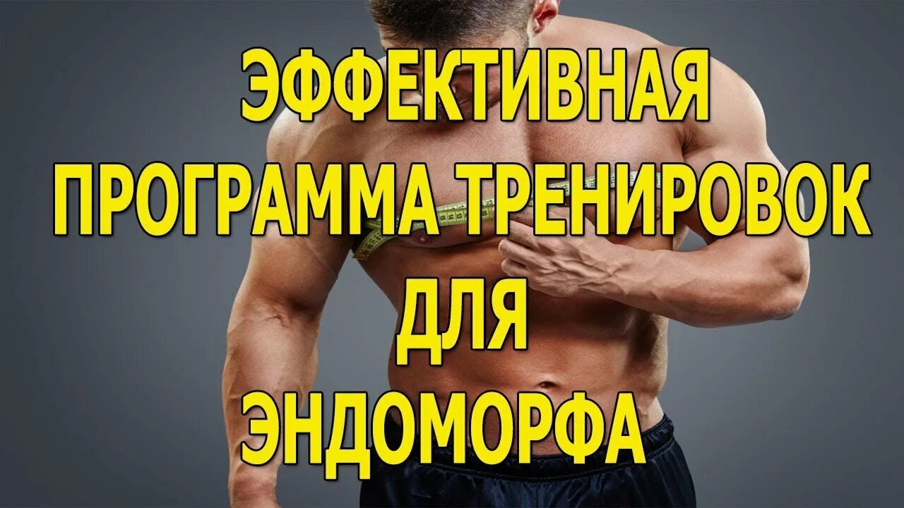 Программа тренировок для эктоморфа для набора. Тренировка эндоморфа. эндоморф программа тренировок. программа для эндоморфа. программа тренировок эндоморфу.