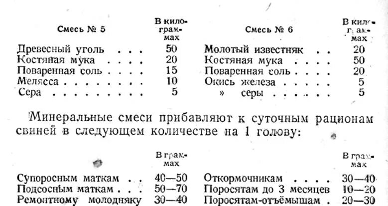 Можно ли давать маленьким поросятам. Таблица прививок новорожденным поросятам. Сколько нужно колоть железо поросятам. Таблица прививок для поросят. Сколько можно колоть железо поросенку.