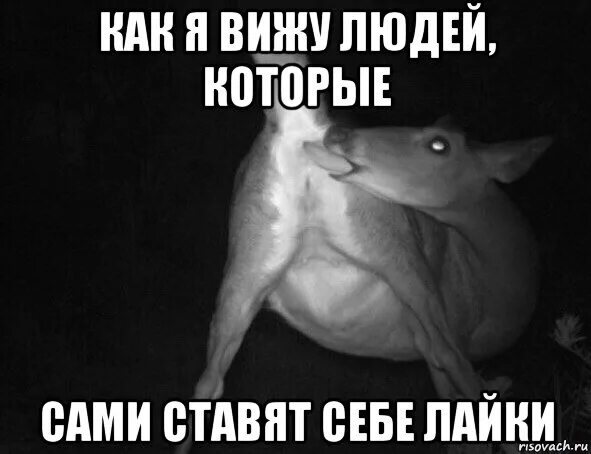 Почему никто не лайкает в давинчике