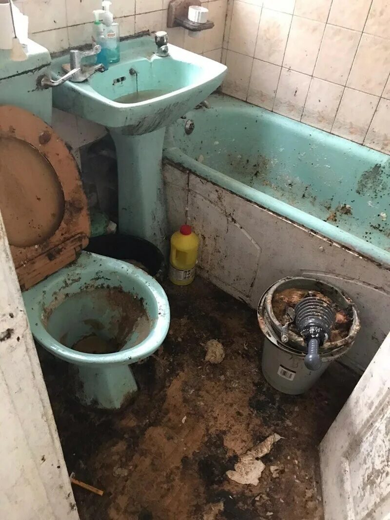 Не убиралась год
