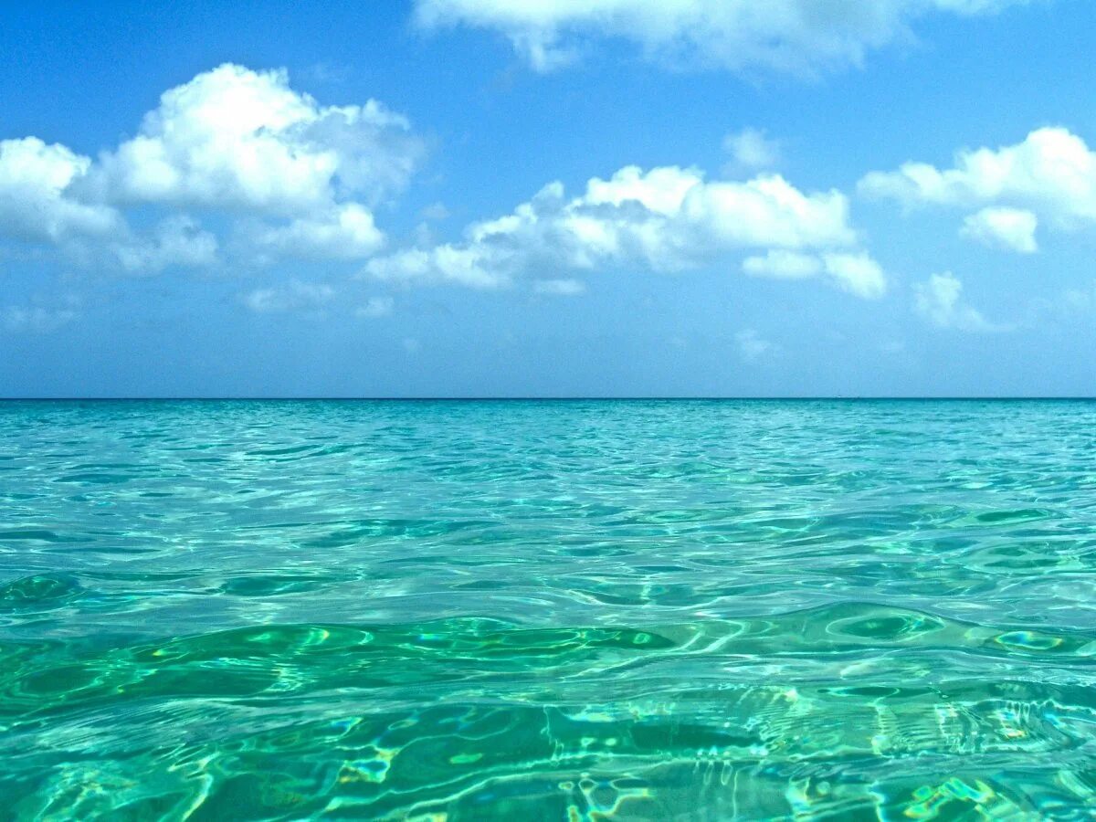 Есть голубое море. Прозрачное море. голубое море. бирюзовое море. море прозрачное бирюзовое.