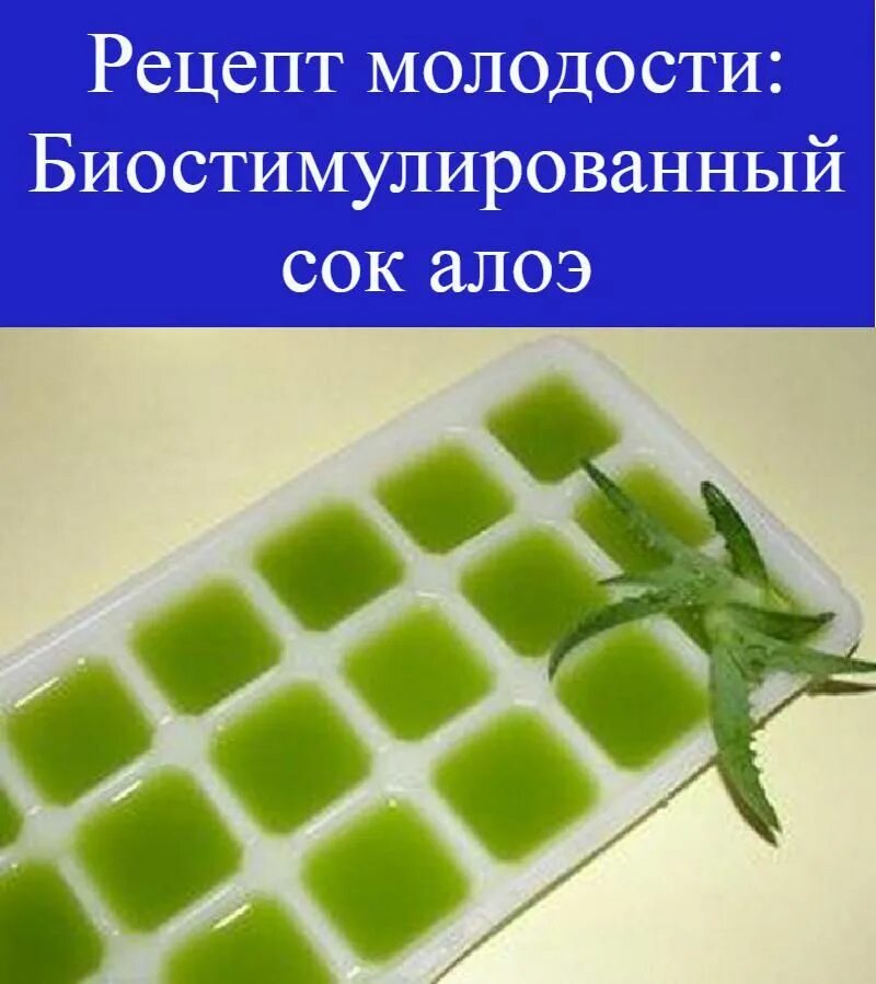 Лекарство из алоэ в домашних условиях рецепт. Косметический лед из столетника. Лед из алоэ для лица. Лед с соком алоэ для лица.