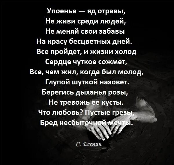 Упоенье яд отравы есенин стих. Упоенье яд отравы есенин стих. Упоенье яд отравы есенин стих. Есенин с. Женщина пахнет ядом риском опасных встреч женщина.