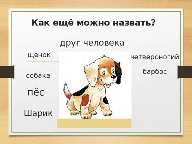 Имя собаки 3 буквы. Имя собаки 3 буквы