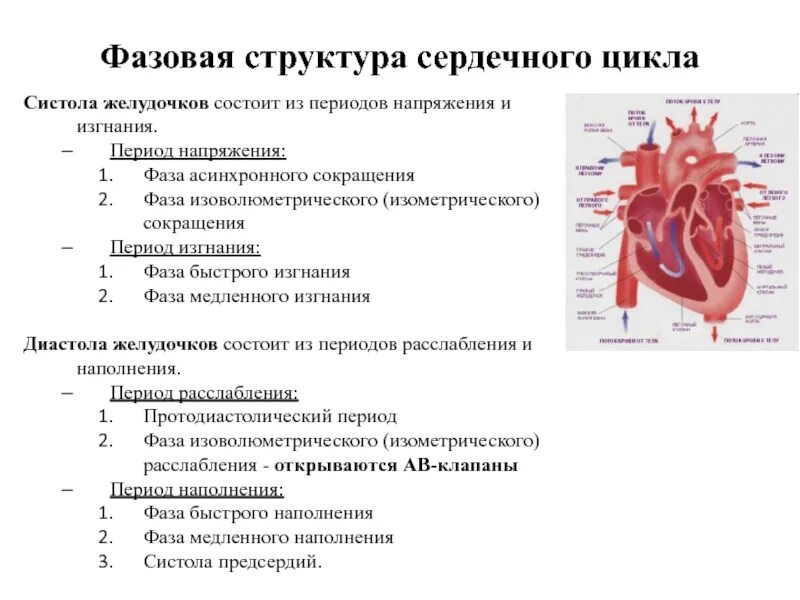 Расслабление предсердий