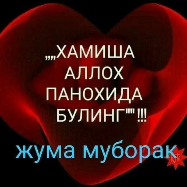Рахмат саломат булинг. Ассалому алейкум хайрли тонг. Аллох панохида булинг. Хайрли кун азизлар. Хамиша аллох панохида булинг.