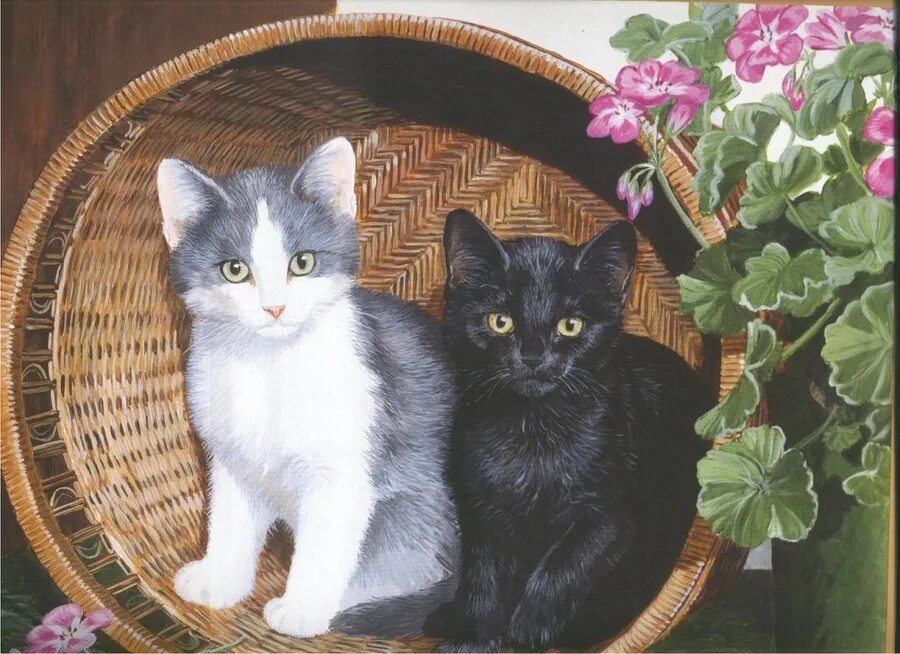 1.12 2 коты