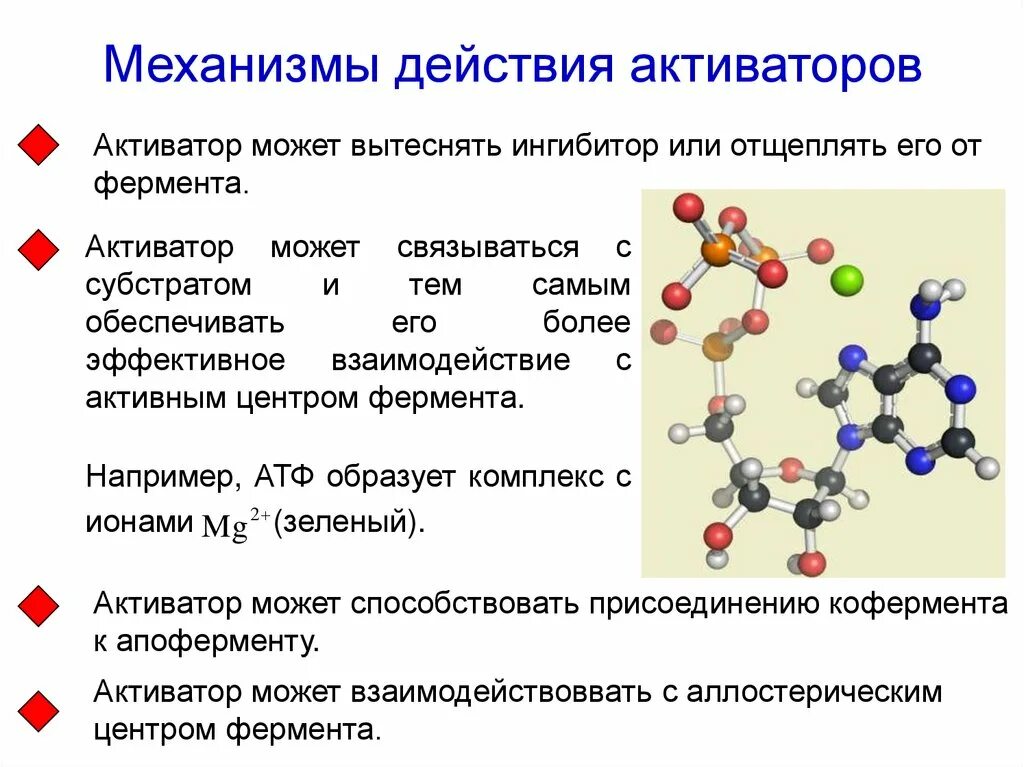 Механизмы активации ферментов. Типы активаторов ферментов. Механизм действия активаторов. Активаторы ферментов биохимия.