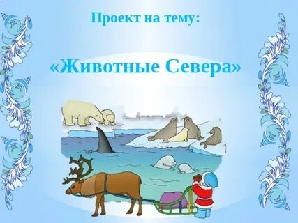 Проект жив севера