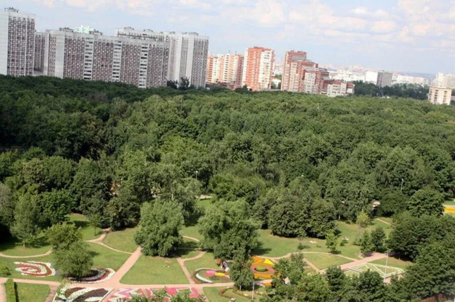 Зеленая зона земля. Парк зеленая зона Пущино. Лесопарковый зеленый пояс г. Москвы. Зеленый пояс лесозащитные насаждения Москвы. Лесопарковая зеленая зона в городе.