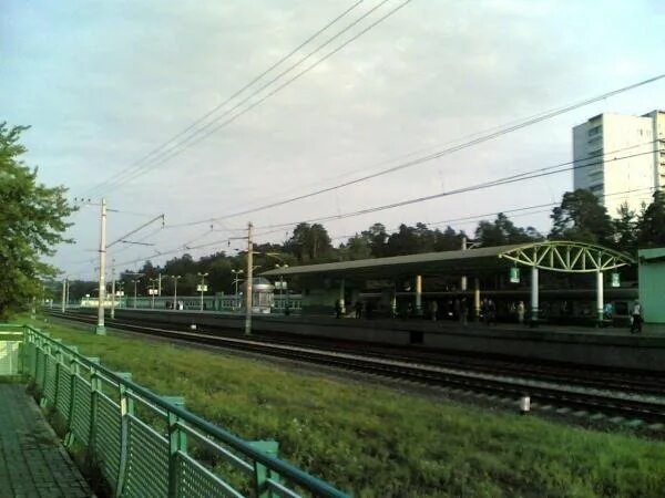 пл 42 км. платформа 42 километр. платформа отдых жуковский. жуковский станция электрички. станция отдых.