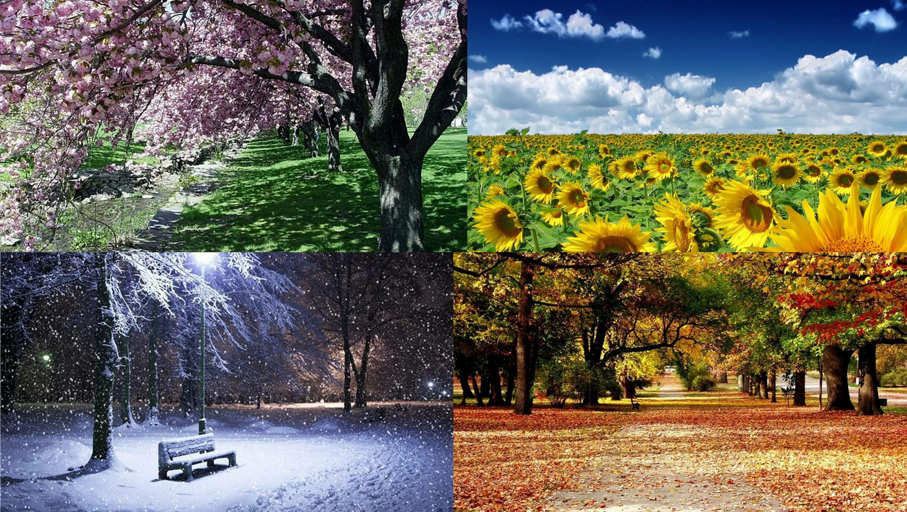 Прекрасный город и зима и лето. Поры года картинки. Пейзажи всех времен года. Сезонные пейзажи.