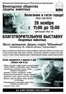 Общество велес