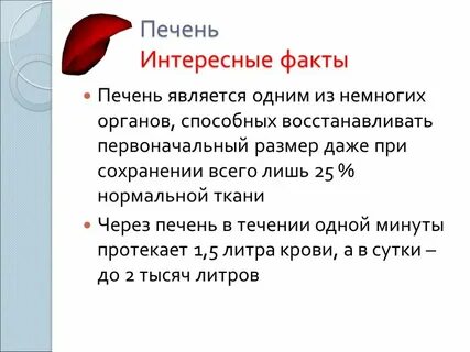Печень это орган какой