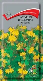 Настурция канарейка