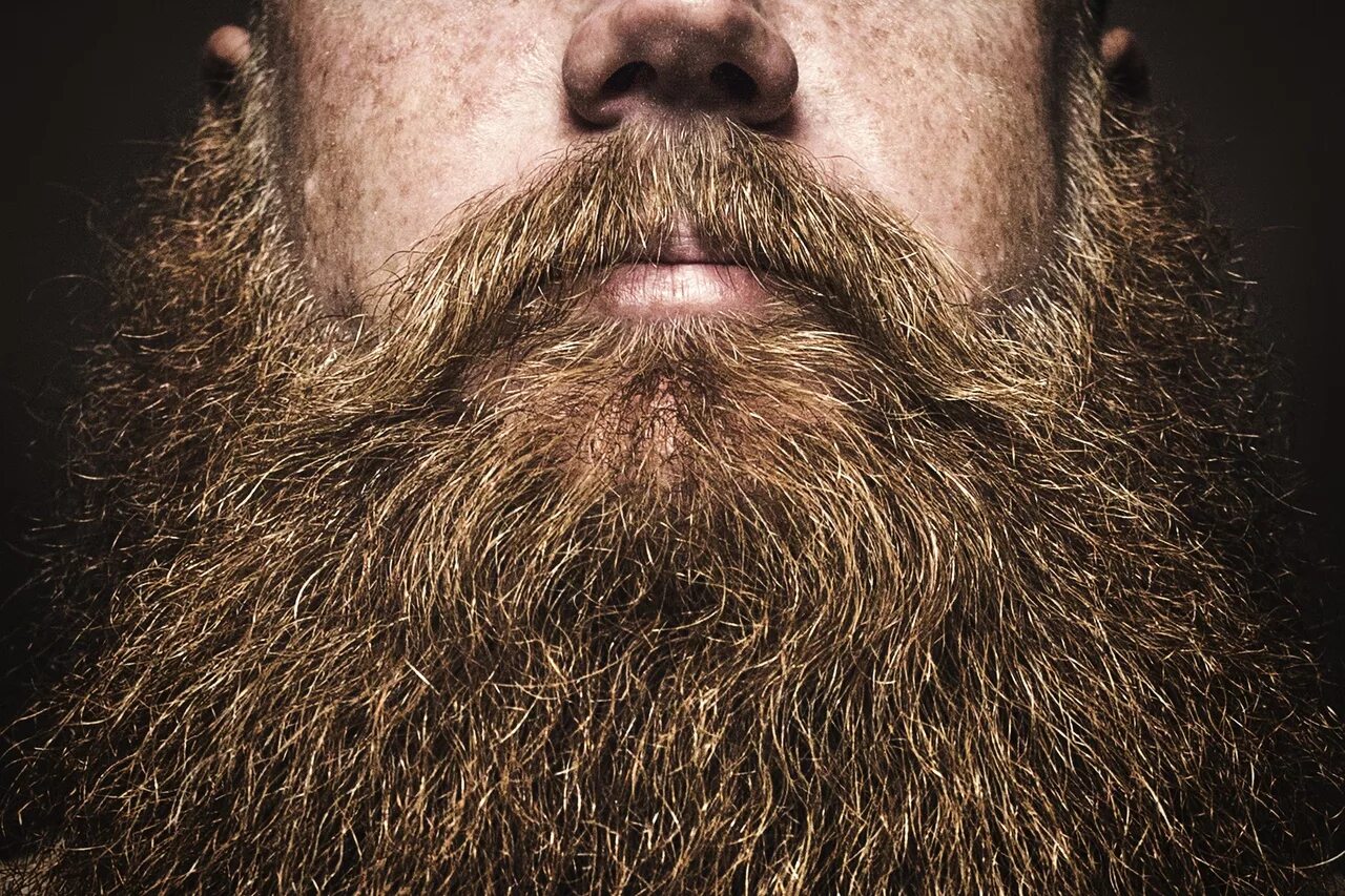 Борода. Окладистая борода. Густая борода. Бородатый мужик. Какие волосы на бороде