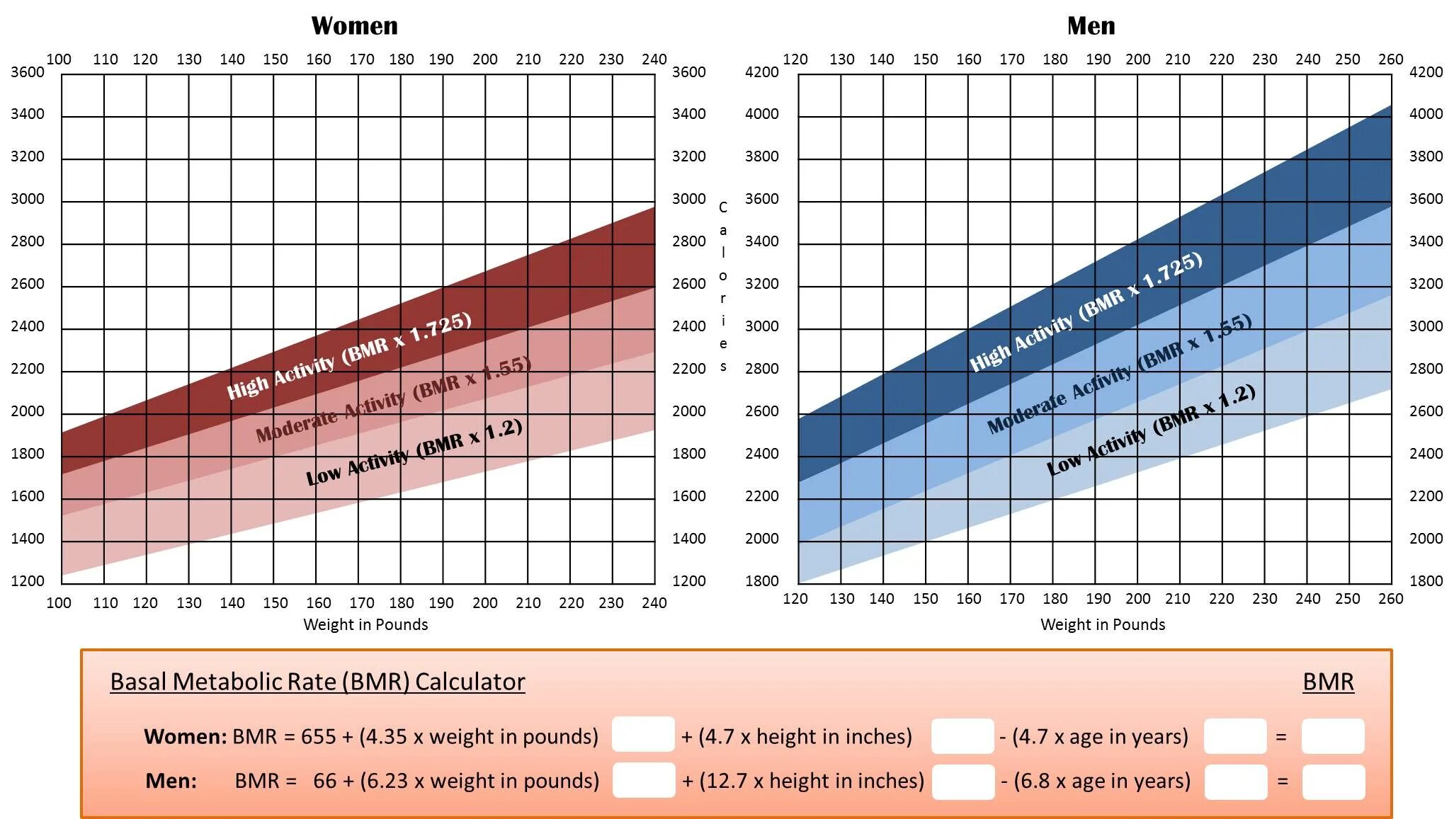 BMR норма. Люди BMR. BMR что это на весах. Basal metabolic rate.