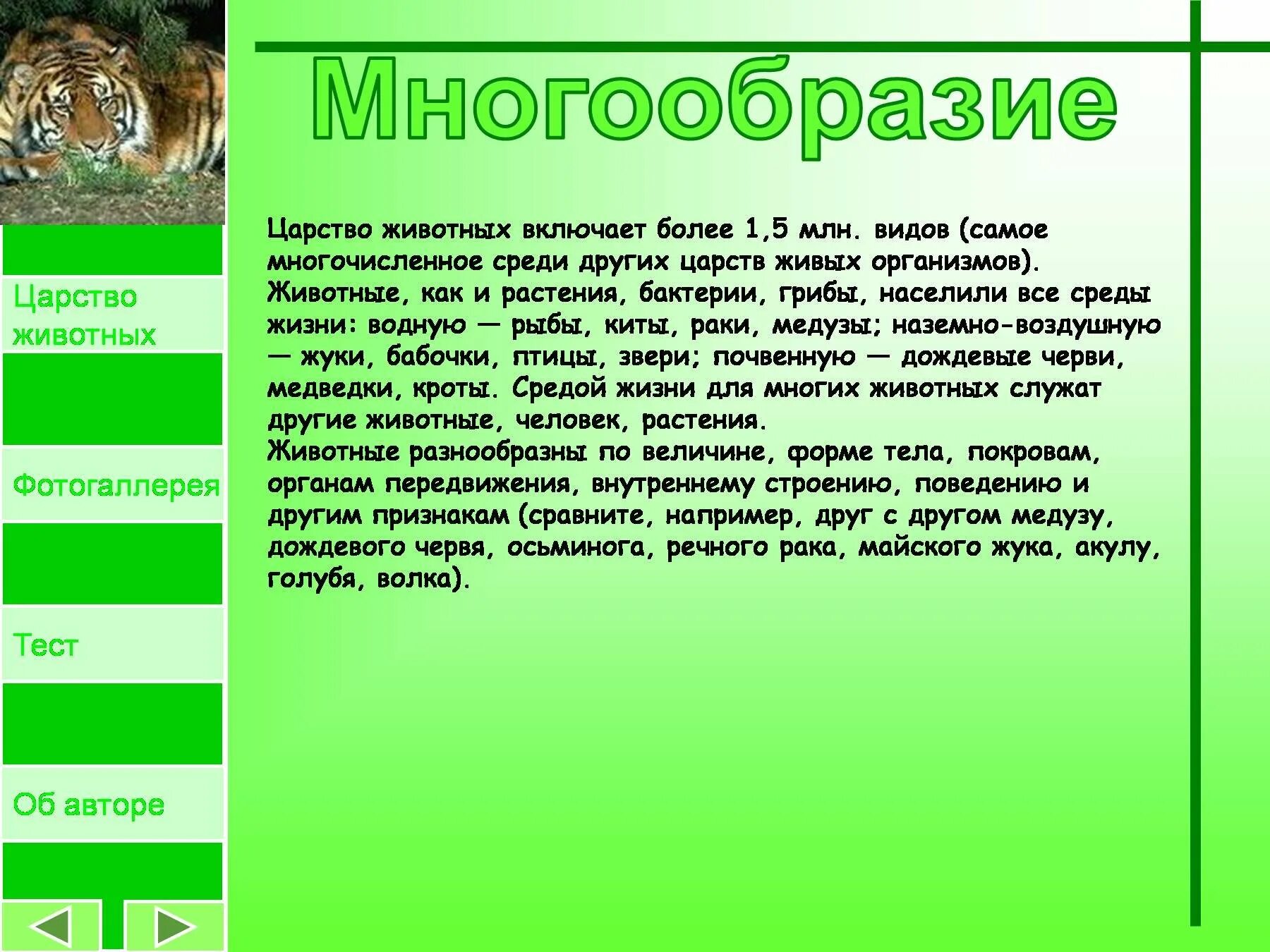 Особенности многообразие животных. В царстве животных. Разнообразие царства животных. Сообщение о царстве животных. Доклад о царстве животных.