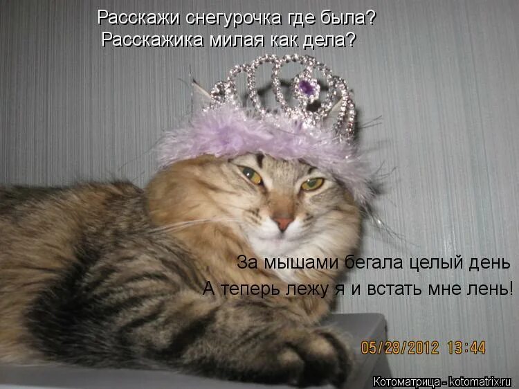 расскажи ка милая как дела песня