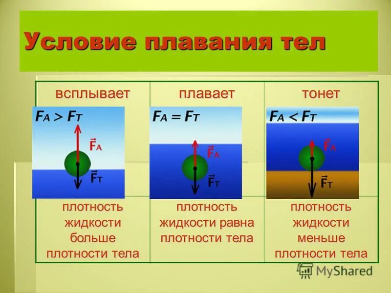 При каких условиях тело всплывает