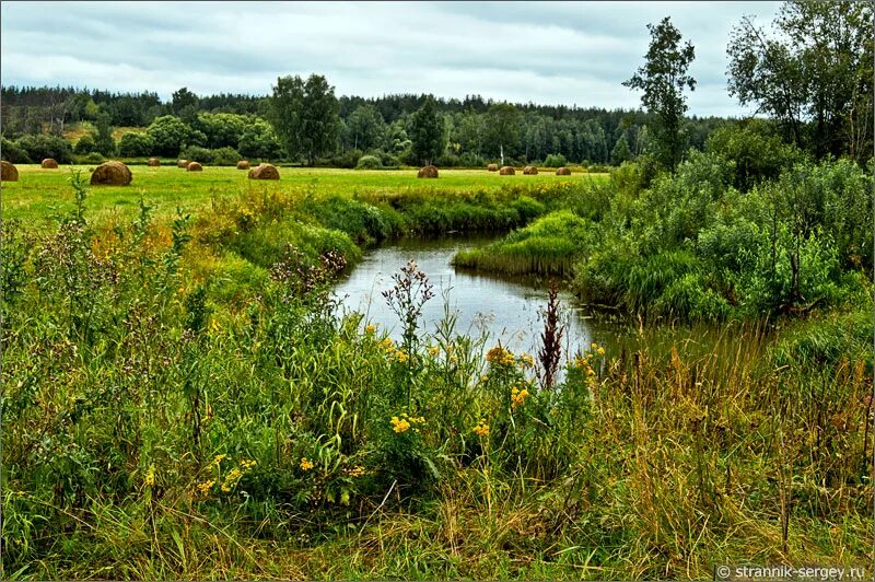 река на ц. затон реки ипуть. яркие весенние пейзажи. залив енисей.