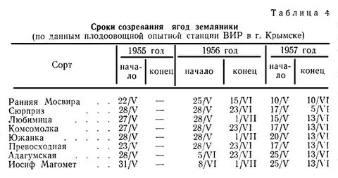 Клубника от цветения до созревания сколько дней