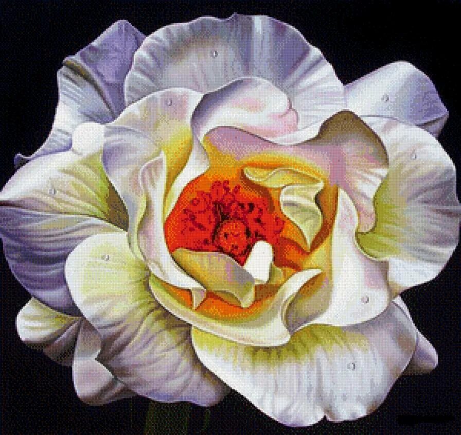 Дженни фуска пионы. Дженни фуска картины. Рисунки больших цветов в цвете. Картины маслом крупные цветы. Рисунки больших цветов в цвете.