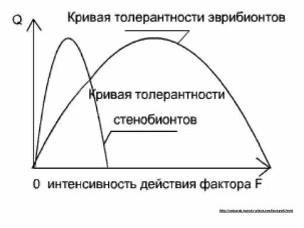 Чем отличаются эврибионтные организмы от стенобионтных