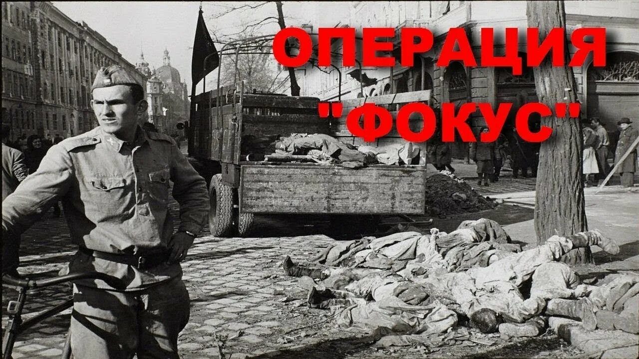 Операция капкан кгб. Операция фокус Венгрия 1956. Документы КГБ рассекреченные операции.