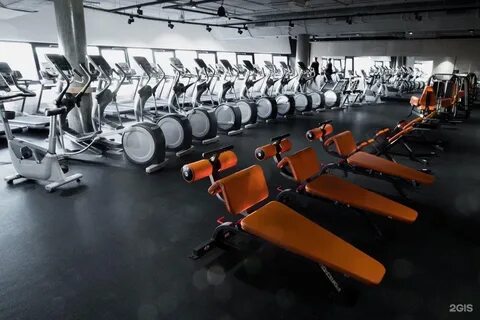 Spirit fitness спб