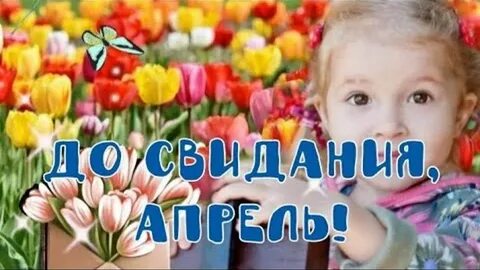 Hi may