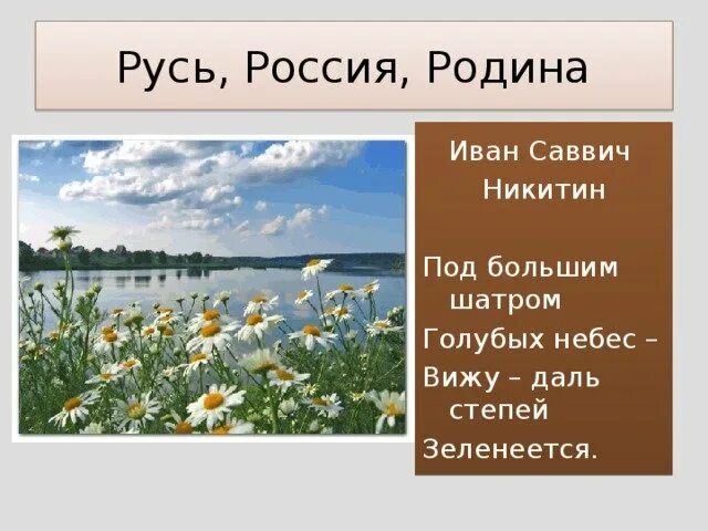 Стихотворение никитина русь текст