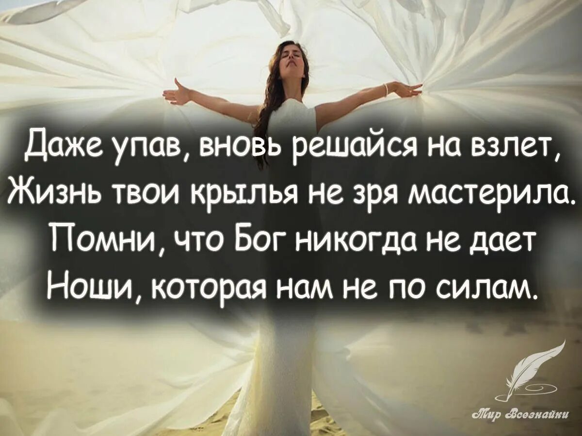 Даже бог составивший. Цитаты хорошие про бога. цитаты про падение и взлеты. цитаты про испытания в жизни. афоризмы про бога.