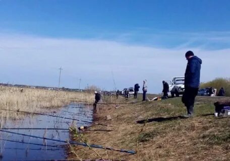 Погода в ямане